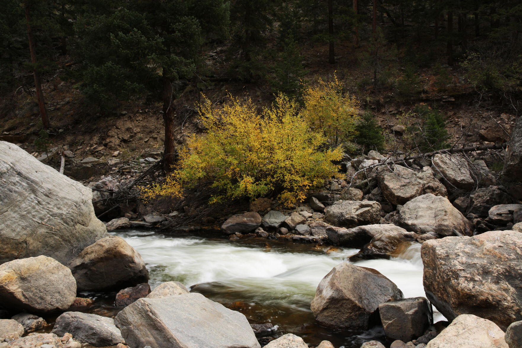 092320-news-aspens 12.jpg